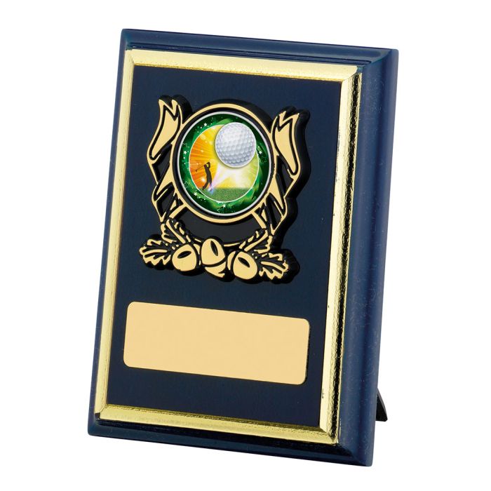 Rectangle Wooden Plaque Award Blue Finish Timpson