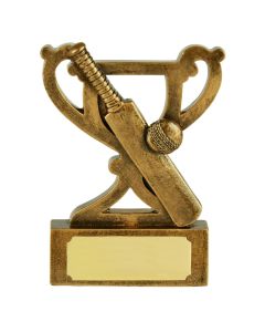 Cricket - Mini Award