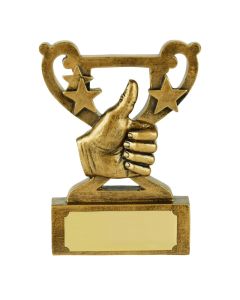 Well Done Thumbs Up - Mini Award