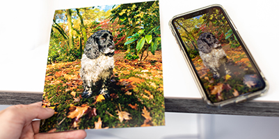 Quality photo prints