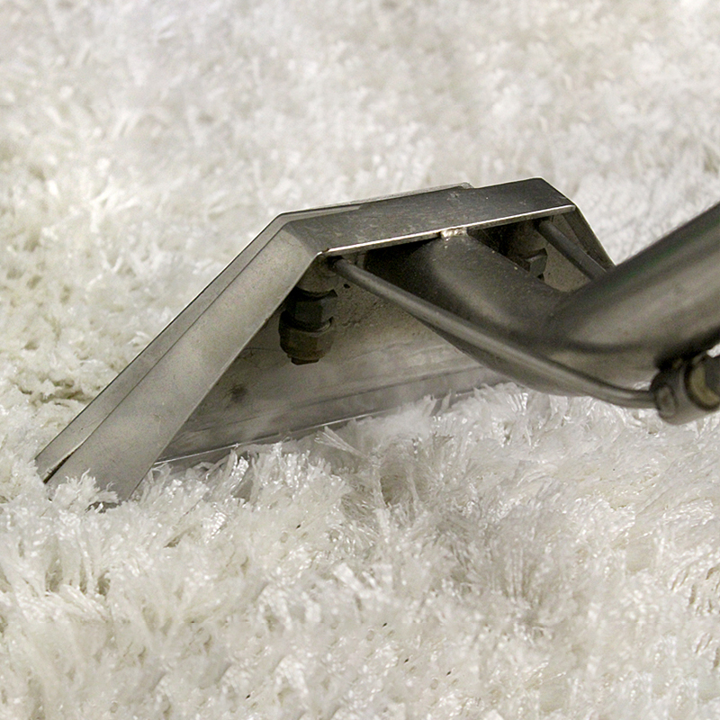 Carpet Cleaner Hire